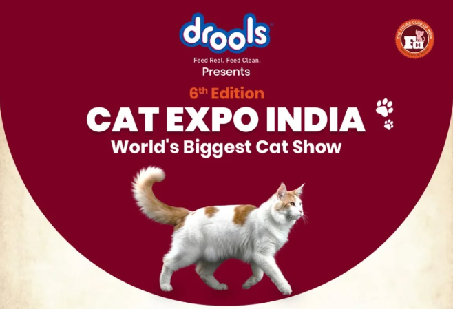 The Feline Club of India - Cat Expo 2026